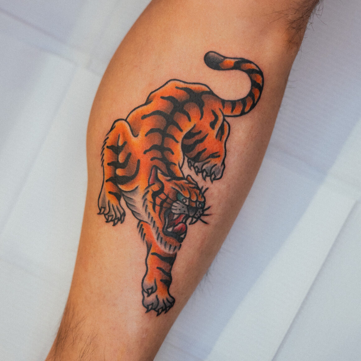 American Traditional Tiger Tattoo - GOOD TIMES INK
